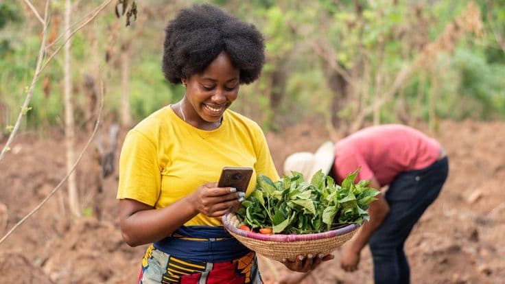 Rural connectivity and digital access